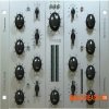 Acustica Audio Titanium 3 2023 (Team R2R) Acustica Audio Titanium 3 2023 (Team R2R)