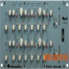 Acustica Audio Opal 2023 (Team R2R) Acustica Audio Opal 2023 (Team R2R)