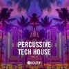 Toolroom Academy Percussive Tech House Vol. 2 (WAV) Toolroom Academy Percussive Tech House Vol. 2 (WAV)