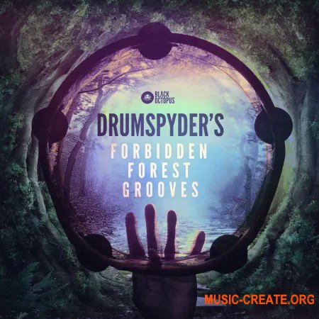 Black Octopus Drumspyder's Forbidden Forest Grooves (WAV)