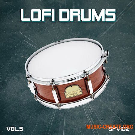 SPVIDZ Lo-fi Drums Vol.5 (WAV)
