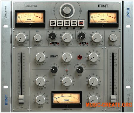 Acustica Audio Mint 2023 (Team R2R)