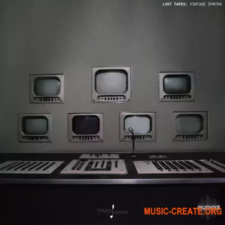 Touch Loops Lost Tapes - Vintage Synths (WAV)