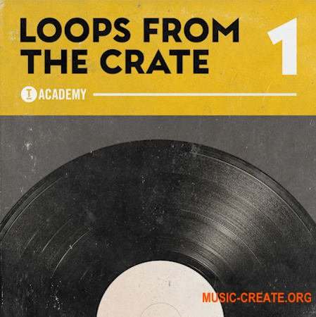 Toolroom Loops From The Crate Vol. 1 (WAV)
