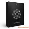 FVII Melodia Pro (WAV MiDi SERUM) FVII Melodia Pro (WAV MiDi SERUM)