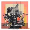 Zenhiser Flavonoid - Organic House (WAV)