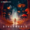 Producer Loops Otherworld (MULTiFORMAT) Producer Loops Otherworld (MULTiFORMAT)