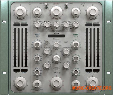 Acustica Audio Tiger 2023 (Team R2R)