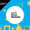 Multiton Bits Lo-Fi Drum Modules (WAV) Multiton Bits Lo-Fi Drum Modules (WAV)