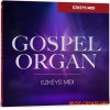 Toontrack GOSPEL ORGAN EzKeys Midi
