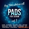 Luftrum Hey! That’s What We Call Pads for Serum Vol.1 (Serum presets Wavetables Skin) Luftrum Hey! That’s What We Call Pads for Serum Vol.1 (Serum presets Wavetables Skin)