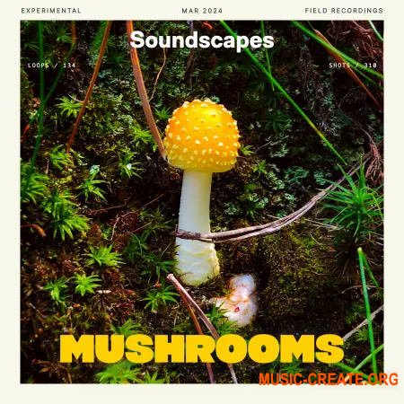 Splice Soundscapes Mushrooms (WAV)