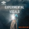 Seven Sounds Experimental Vocals (WAV) Seven Sounds Experimental Vocals (WAV)