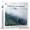 Just Sound Effects Forests of Norway Stereo (WAV) Just Sound Effects Forests of Norway Stereo (WAV)