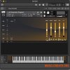 Wrongtools Plucked Clavinets (KONTAKT) Wrongtools Plucked Clavinets (KONTAKT)