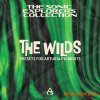 Audio Juice The Wilds (Arturia Pigments Bank) Audio Juice The Wilds (Arturia Pigments Bank)