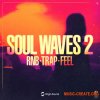 Origin Sound SOUL WAVES 2 (WAV) Origin Sound SOUL WAVES 2 (WAV)