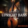 Native Instruments Session Bassist Upright Bass (KONTAKT) Native Instruments Session Bassist Upright Bass (KONTAKT)