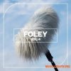 Blastwave FX Foley Vol. 4 (WAV)
