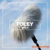 Blastwave FX Foley Vol. 5 (WAV)