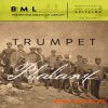 Spitfire Audio BML Trumpet Phalanx (KONTAKT) Spitfire Audio BML Trumpet Phalanx (KONTAKT)
