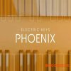 Native Instruments Electric Keys Phoenix v1.2.1 (KONTAKT)