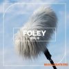 Blastwave FX Foley Vol. 6 (WAV) Blastwave FX Foley Vol. 6 (WAV)
