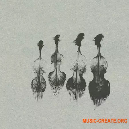 Wrongtools Feathersome Strings (KONTAKT)