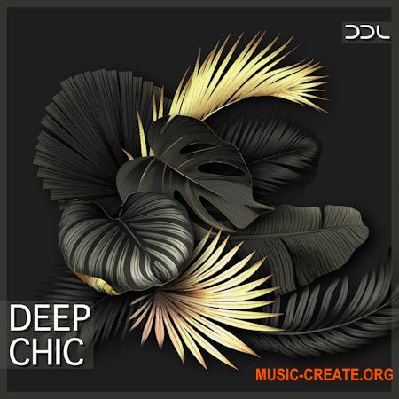 Deep Data Loops Deep Chic (WAV MiDi)