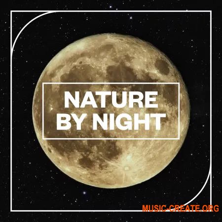 Blastwave FX Nature by NIght (WAV)