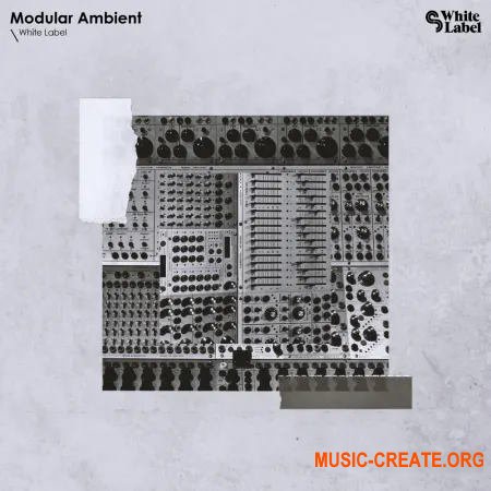 Sample Magic White Label - Modular Ambient (WAV)