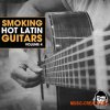 Vanilla Groove Studios Smoking Hot Latin Guitars Vol.4 (WAV) Vanilla Groove Studios Smoking Hot Latin Guitars Vol.4 (WAV)