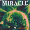 Audio Juice Miracle (Multikit) (WAV, MIDI, ANALOG LAB BANK) Audio Juice Miracle (Multikit) (WAV, MIDI, ANALOG LAB BANK)