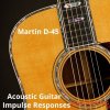 PastToFutureReverbs Martin D-45 Acoustic Guitar Impulse Responses! (IRs) (WAV) PastToFutureReverbs Martin D-45 Acoustic Guitar Impulse Responses! (IRs) (WAV)