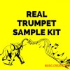 Real Trumpet Sample Kit (WAV) Real Trumpet Sample Kit (WAV)