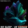 Function Loops No Sleep - UK Garage (WAV) Function Loops No Sleep - UK Garage (WAV)