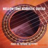 PastToFutureReverbs Mellow Tone Acoustic Guitar (KONTAKT) PastToFutureReverbs Mellow Tone Acoustic Guitar (KONTAKT)