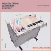 PastToFutureReverbs Mellow Drunk Guitar (KONTAKT, WAV) PastToFutureReverbs Mellow Drunk Guitar (KONTAKT, WAV)