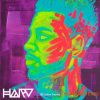 Splice Sounds Harv Sample Pack Vol. 2 (WAV)