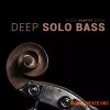 8Dio Studio Quartet Series Deep Solo Bass (KONTAKT)