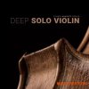 8Dio Studio Quartet Series Deep Solo Violin (KONTAKT)