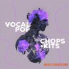 Audiomodern VOCAL POP Chops and Kits (Loopmix Expansion) Audiomodern VOCAL POP Chops and Kits (Loopmix Expansion)