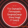 PastToFutureReverbs 27 Percussive Compositions: A 70s Vinyl Percussion Soundtrack Inspired by Lalo Schifrin (WAV) PastToFutureReverbs 27 Percussive Compositions: A 70s Vinyl Percussion Soundtrack Inspired by Lalo Schifrin (WAV)
