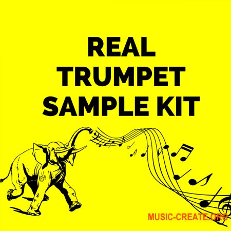 Real Trumpet Sample Kit