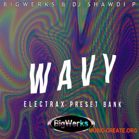 Big Werks DJ Shawdi P Wavy