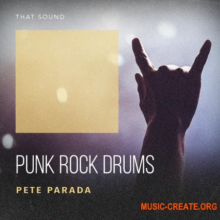 That Sound Punk Rock Drums (WAV)