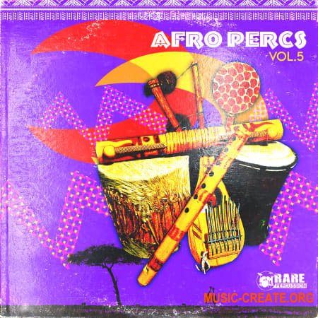 RARE Percussion Afro Percs vol.5 (WAV)