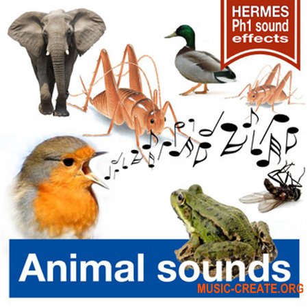 Hermes PH1 Sound Effects Animal Sounds
