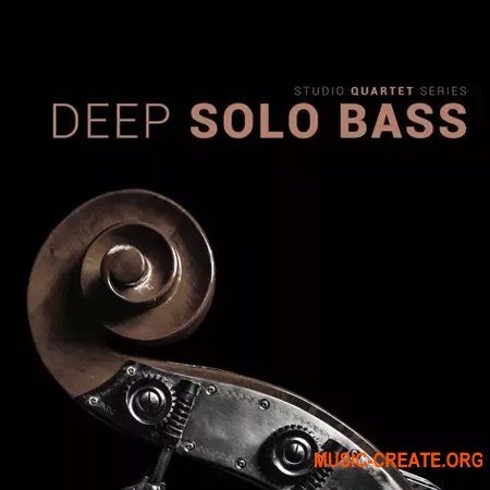 8Dio Studio Quartet Series Deep Solo Bass