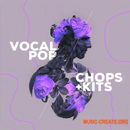 Audiomodern VOCAL POP Chops and Kits (Loopmix Expansion)